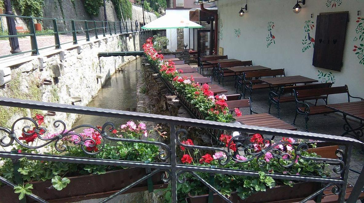Dworek Cieszynski Cieszyn  Exterior foto